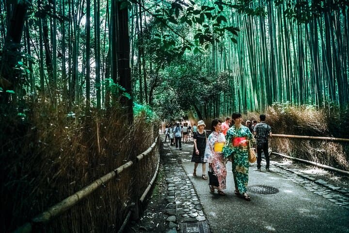 Tokyo, Mt. Fuji, Kyoto and Nara 6 Days Private Tour — photo 9