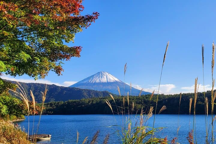 Tokyo, Mt. Fuji, Kyoto and Nara 6 Days Private Tour — photo 10