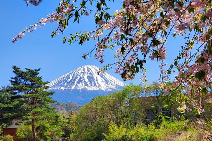 Tokyo, Mt. Fuji, Kyoto and Nara 6 Days Private Tour — photo 13