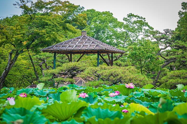 Kagawa: Ritsurin Garden Guided Walking Tour — photo 6