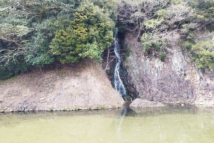 Kagawa: Ritsurin Garden Guided Walking Tour — photo 8
