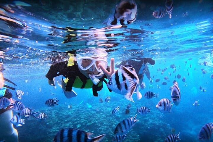 Okinawa Blue Cave Snorkeling Adventure with Free Photos — photo 2