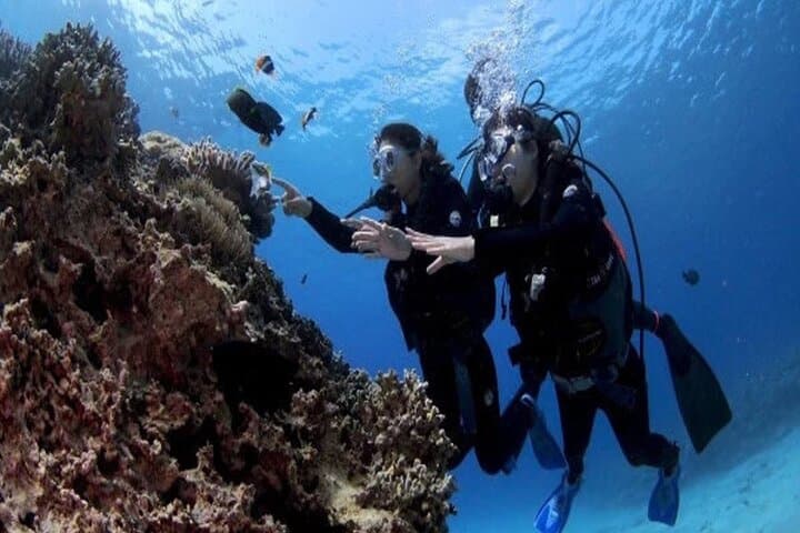 Okinawa Blue Cave Diving Adventure with Free Photos — photo 2