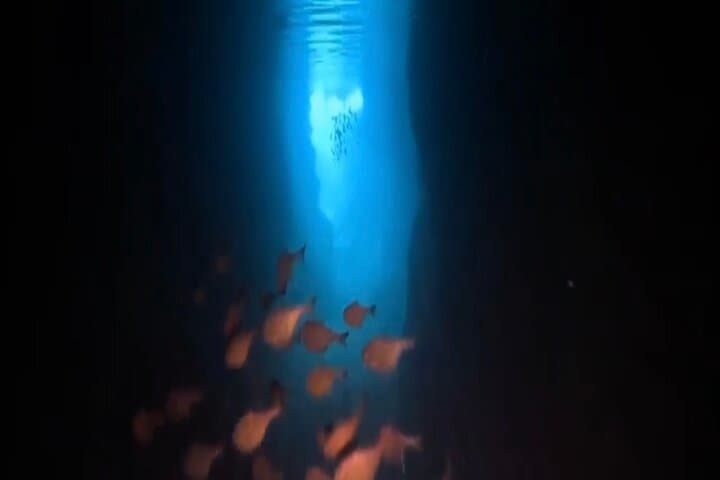 Okinawa Blue Cave Diving Adventure with Free Photos — photo 3