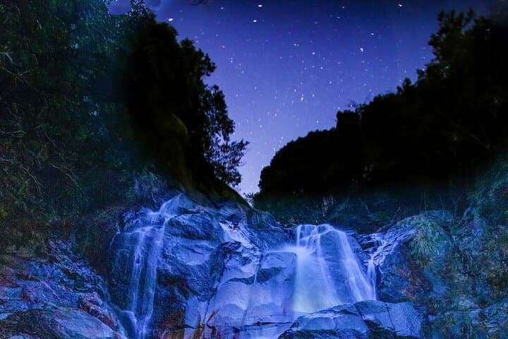 Zen Waterfall Retreat: Spiritual Purification & Nature Head Spa — photo 4