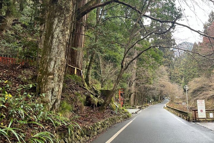 Half-Day Private Tour of Kifune Shrine — photo 4