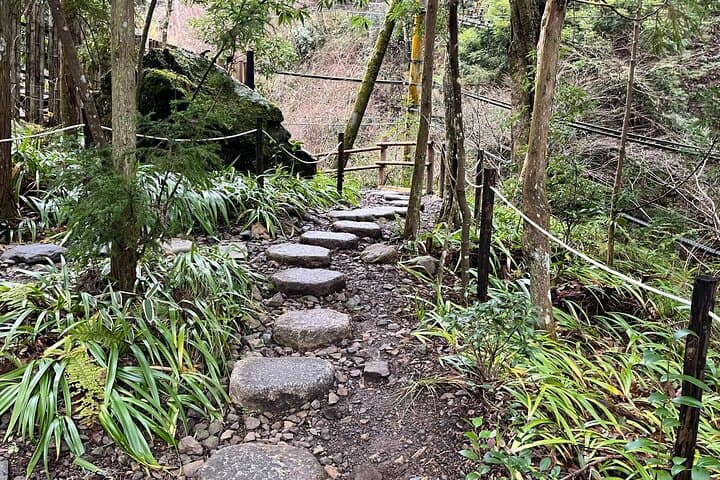 Half-Day Private Tour of Kifune Shrine — photo 11