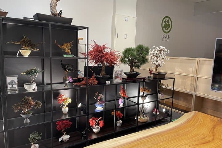 Make Your Own Bonsai in Kyoto Dry Bonsai Workshop — photo 8