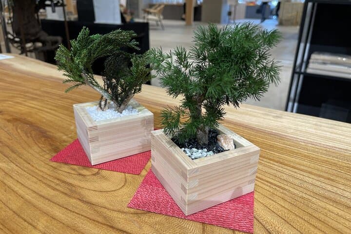 Make Your Own Bonsai in Kyoto Dry Bonsai Workshop — photo 9