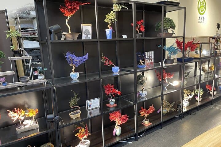 Make Your Own Bonsai in Kyoto Dry Bonsai Workshop — photo 12