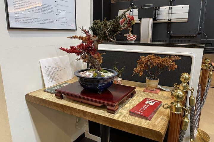 Make Your Own Bonsai in Kyoto Dry Bonsai Workshop — photo 18