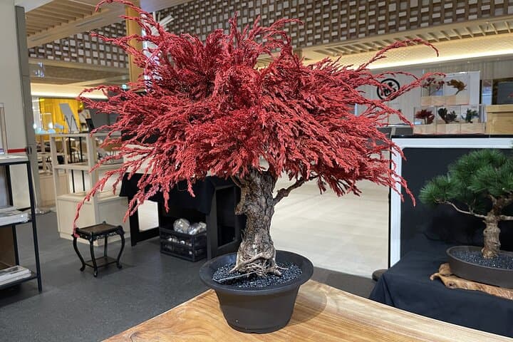 Make Your Own Bonsai in Kyoto Dry Bonsai Workshop — photo 6