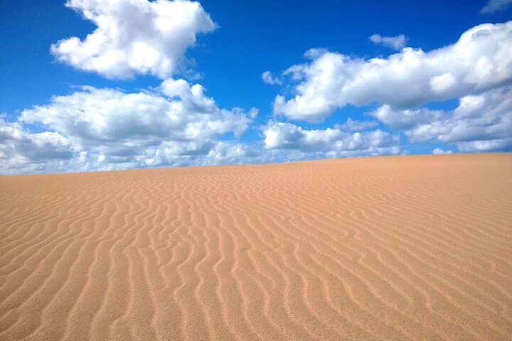 Tottori: Guided Walk through the Tottori Sand Dunes — photo 6