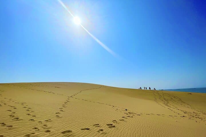 Tottori: Guided Walk through the Tottori Sand Dunes — photo 3