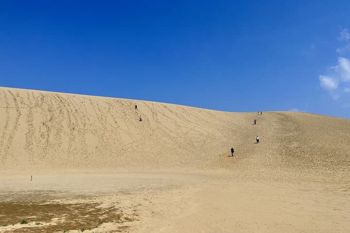 Tottori: Guided Walk through the Tottori Sand Dunes — photo 9