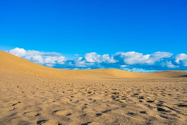 Tottori: Guided Walk through the Tottori Sand Dunes — photo 11