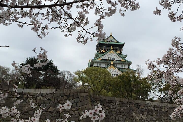 Osaka Castle Walking Tour Uncover Samurai History — photo 2