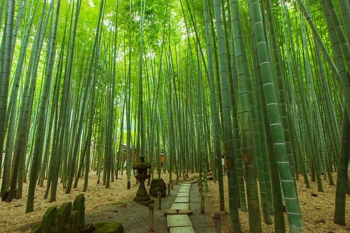 4 Day Private Japan Tour Tokyo Nikko Kamakura Mt Fuji Hakone — photo 2