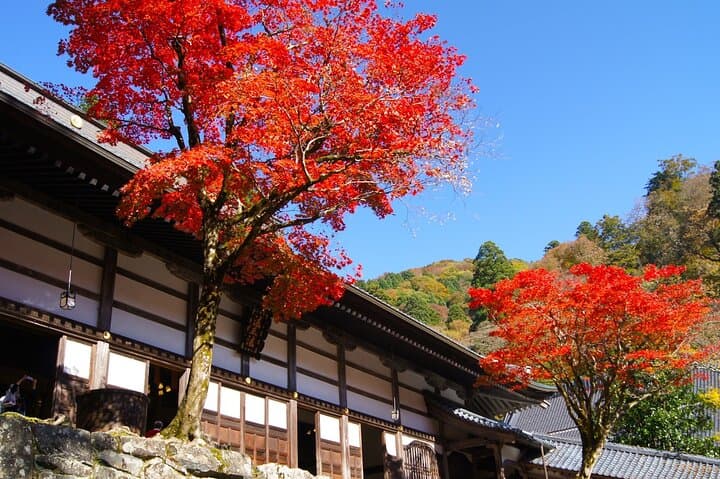 Fukui: Eiheiji Temple and the Heart of Zen Buddhism — photo 13