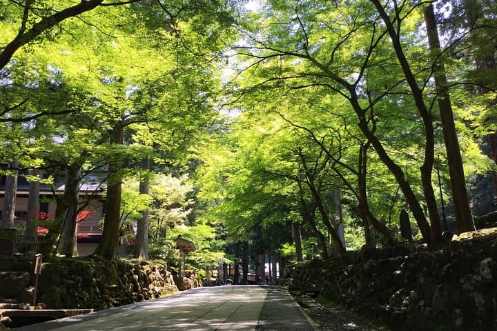 Fukui: Eiheiji Temple and the Heart of Zen Buddhism — photo 16
