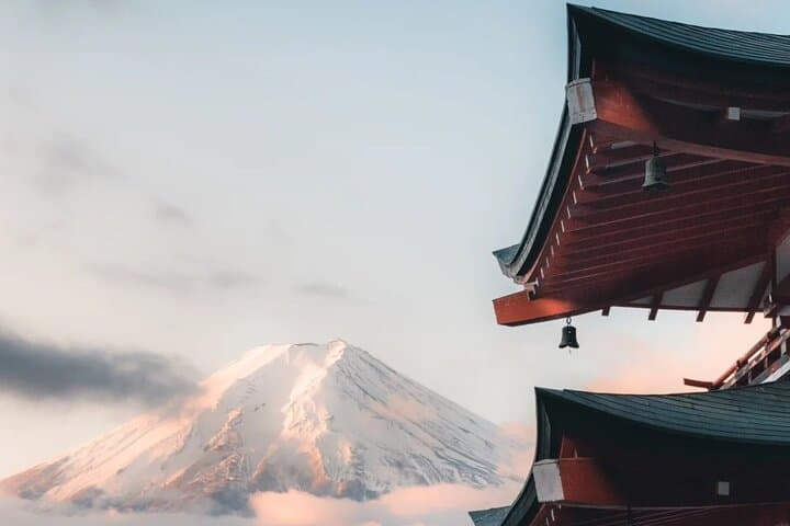 Mt Fuji and Flower Tour from Tokyo — photo 12