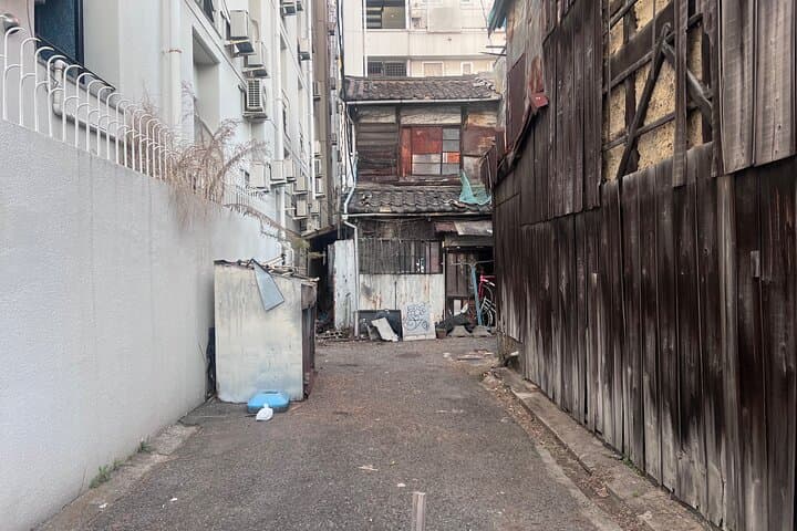 Back Alleys & Red Lights with BBQ Dinner — photo 10