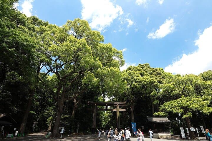 Tokyo Private Car Tour with English Driver–Fully Customizable — photo 8