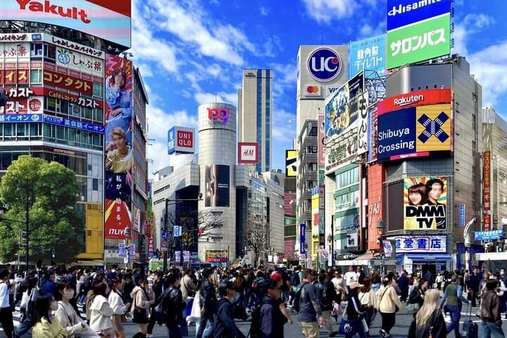 Tokyo Private Car Tour with English Driver–Fully Customizable — photo 4