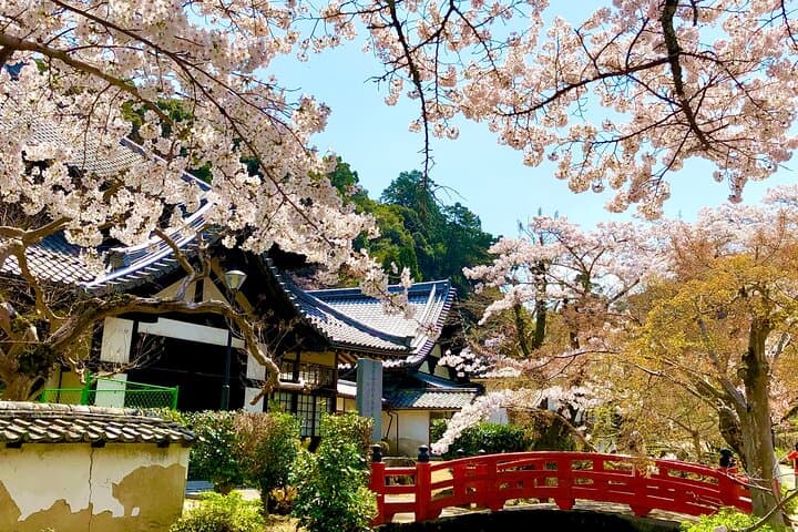 Private Tour of Medieval Japan Outside Osaka — photo 10