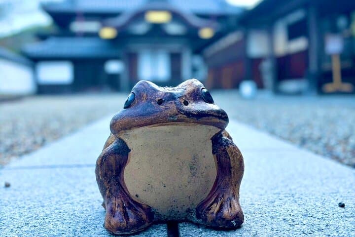 Private Tour of Medieval Japan Outside Osaka — photo 15