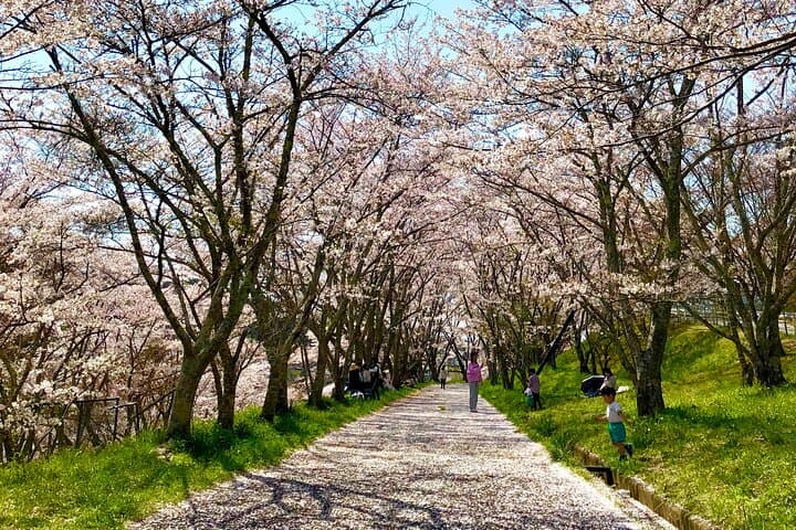 Private Tour of Medieval Japan Outside Osaka — photo 9