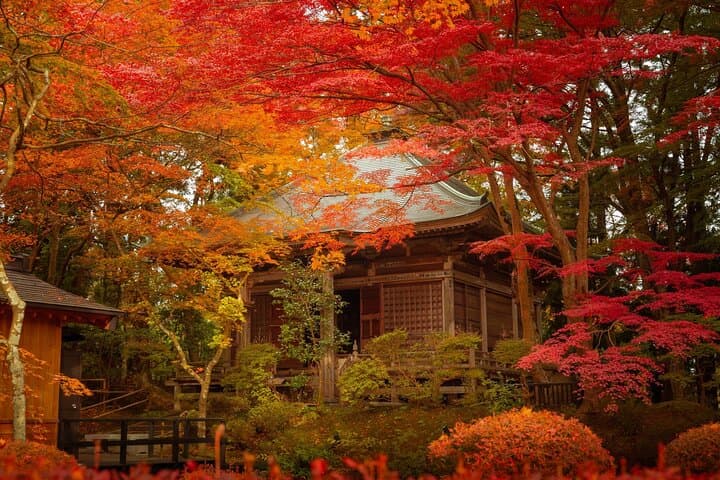 Hiraizumi: A World Heritage Journey Through the Pure Land — photo 6