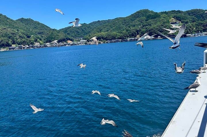 Kyoto Amanohashidate Ine Boathouse and Ine Bay Day Tour — photo 18