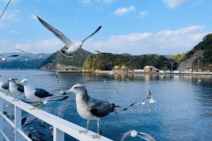 Kyoto Amanohashidate Ine Boathouse and Ine Bay Day Tour — photo 19