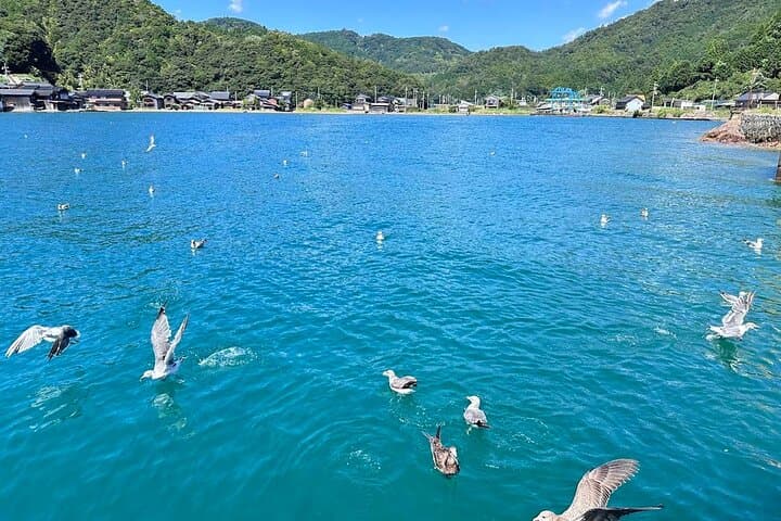 Kyoto Amanohashidate Ine Boathouse and Ine Bay Day Tour — photo 20