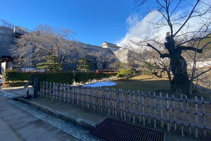 Himeji Castle Tour — photo 5