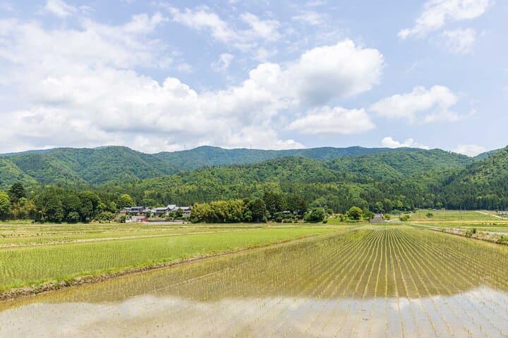 Nagahama Local Experience with Private Bike and Train — photo 7