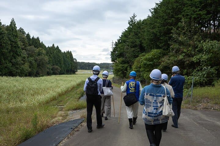 Ghibli-Inspired Adventure at Miyadani Quarry Ruins, Fukui — photo 7