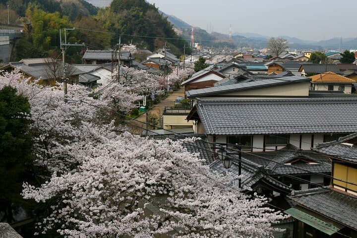 Cycling in Historic Nakasendo Towns of Water and Heritage — photo 3