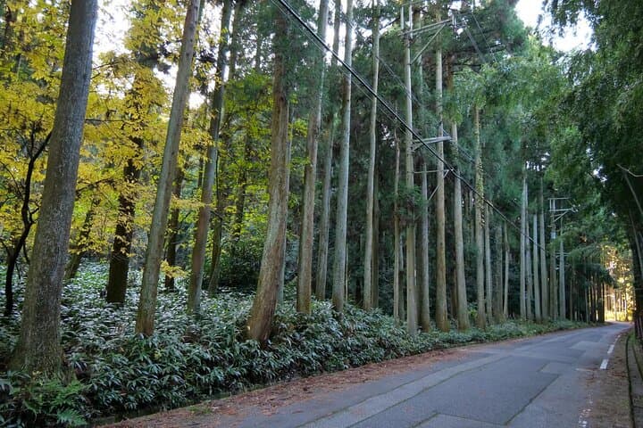 Cycling in Historic Nakasendo Towns of Water and Heritage — photo 5
