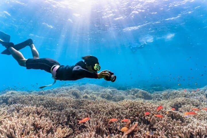 Okinawa Blue Cave Free Diving Adventure with Free Photos