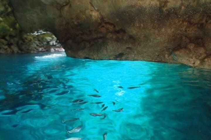 Okinawa Blue Cave Free Diving Adventure with Free Photos — photo 2