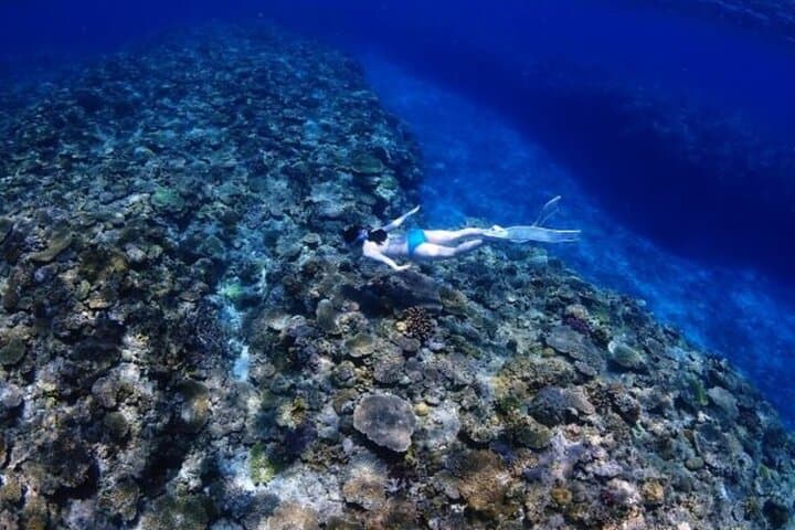 Okinawa Blue Cave Free Diving Adventure with Free Photos — photo 3