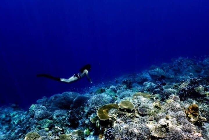 Okinawa Blue Cave Free Diving Adventure with Free Photos — photo 4