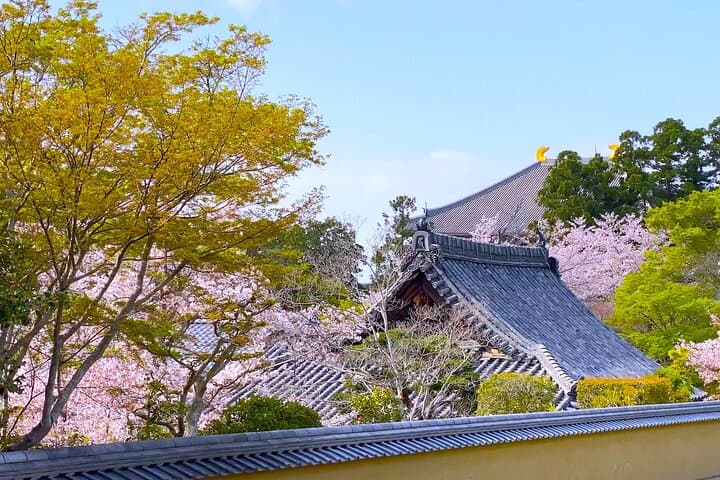 Nara Half Day Tour Discover Ancient Temples and Friendly Deer — photo 11