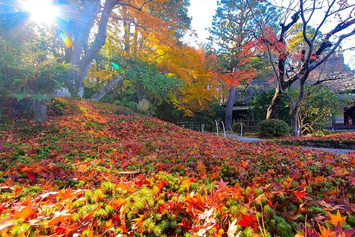Nara Half Day Tour Discover Ancient Temples and Friendly Deer — photo 8