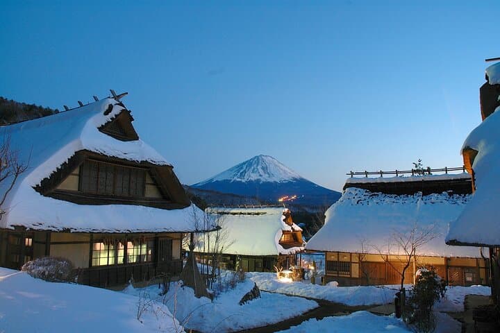 Seasonal Mt. Fuji Scenic Views, Fruit Picking and Ropeway Ride — photo 4