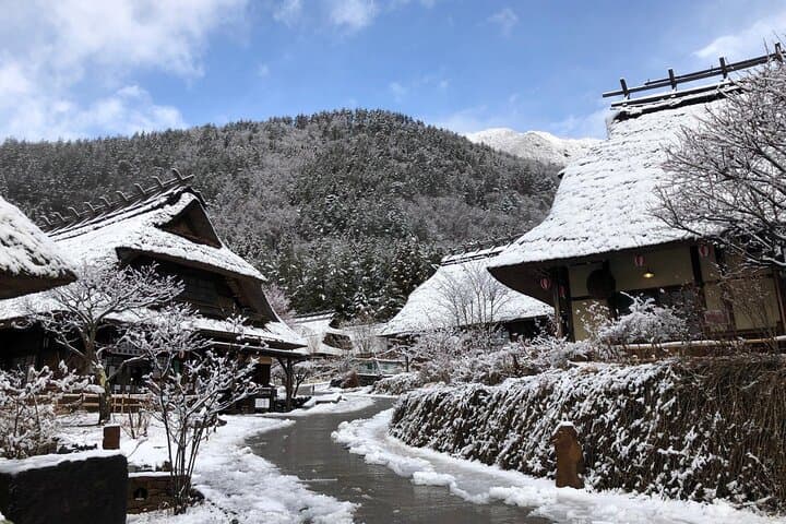 Seasonal Mt. Fuji Scenic Views, Fruit Picking and Ropeway Ride — photo 20