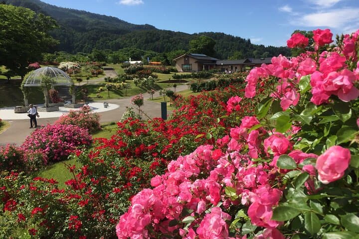 Private Guided Tour to Murayama City from Sendai — photo 6