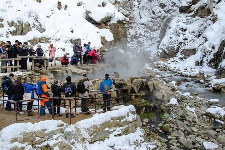 Nagano Day Tour from Tokyo Zenko Ji Temple and Snow Monkeys — photo 6